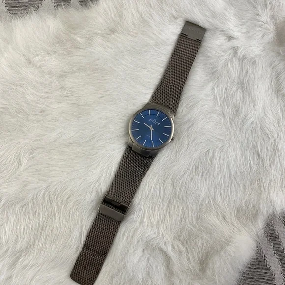 Skagen Denmark Titanium Blue Face Stainless Steal Watch Water Resistant - Picture 2 of 5